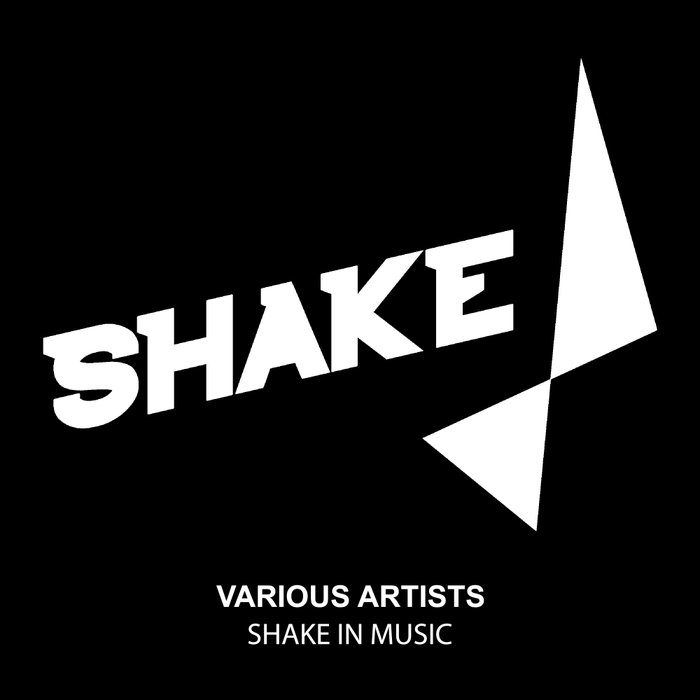 VARIOUS - Shake In Music