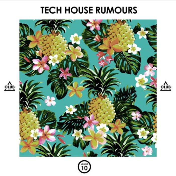 VARIOUS - Tech House Rumours Vol 10