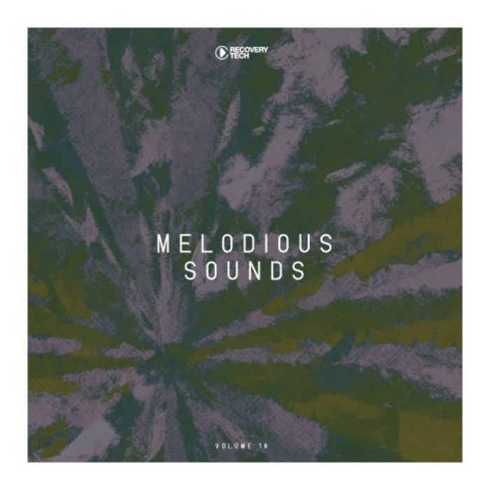 VARIOUS - Melodious Sounds Vol 18