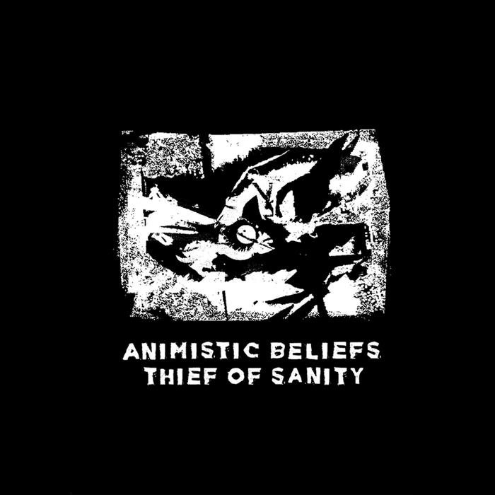 ANIMISTIC BELIEFS - Thief Of Sanity