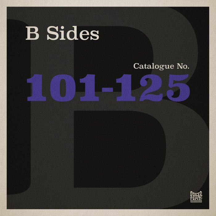 VARIOUS - The Poker Flat B Sides: Chapter Five (the Best Of Catalogue 101-125)