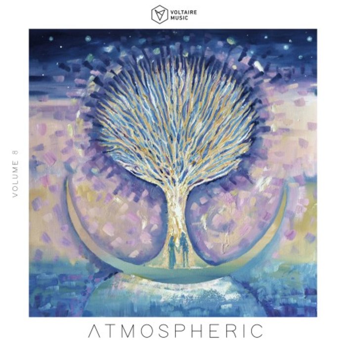 VARIOUS - Voltaire Music Pres.: Atmospheric Vol 8