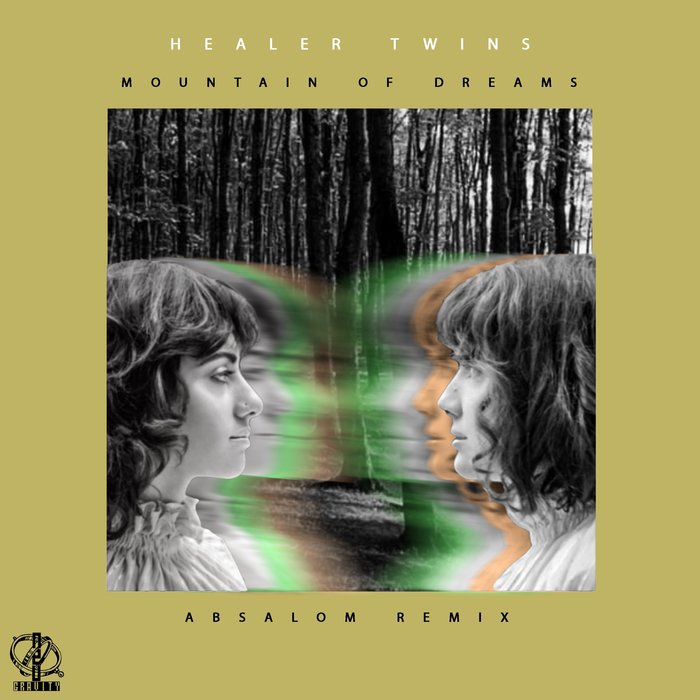 HEALER TWINS - Mountain Of Dreams (Absalom Remix)
