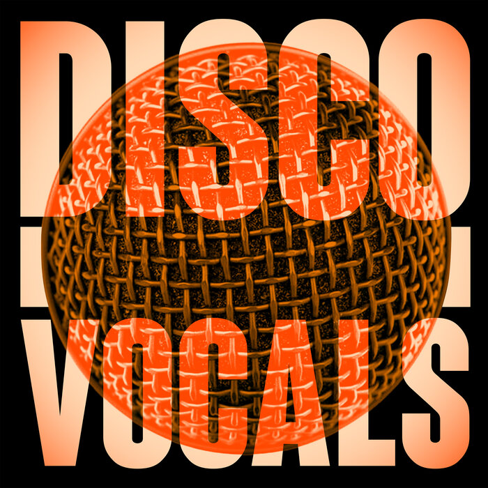 VARIOUS - Disco Vocals/Soulful Dancefloor Cuts Feat 23 Of The Best Grooves