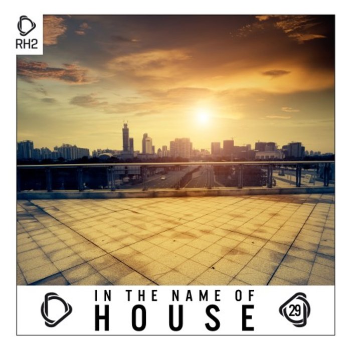 VARIOUS - In The Name Of House Vol 29