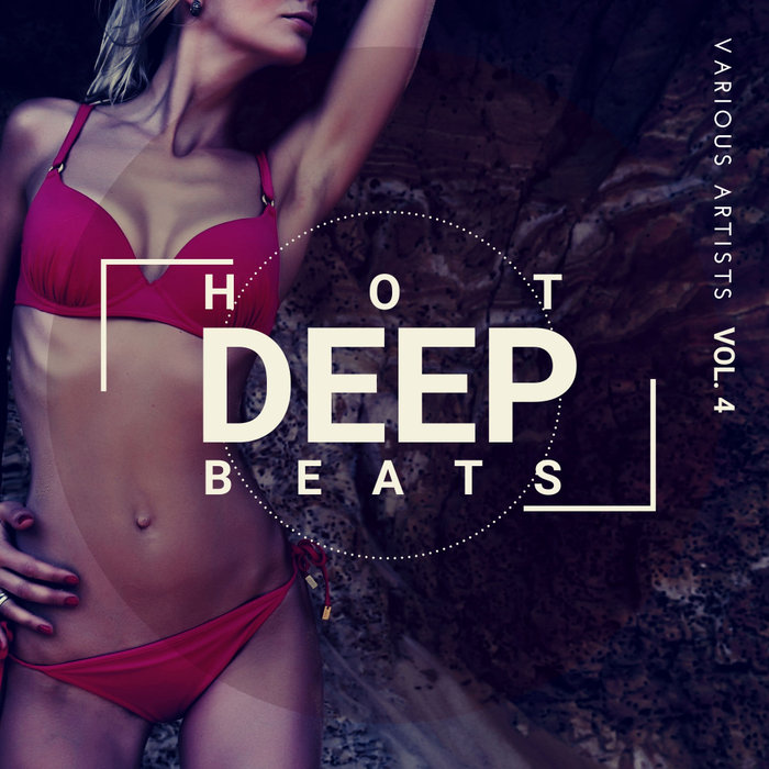 VARIOUS - Hot Deep Beats Vol 4