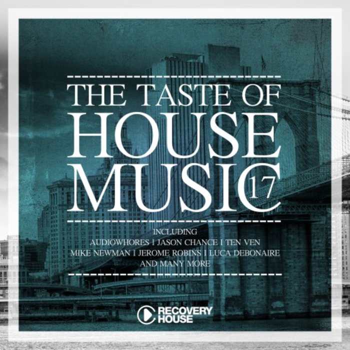 VARIOUS - The Taste Of House Music Vol 17