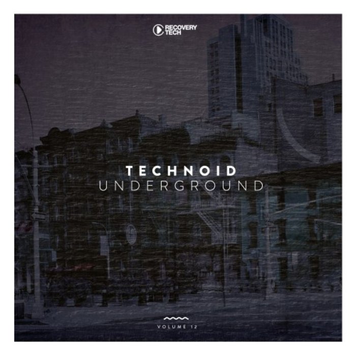 VARIOUS - Technoid Underground Vol 12