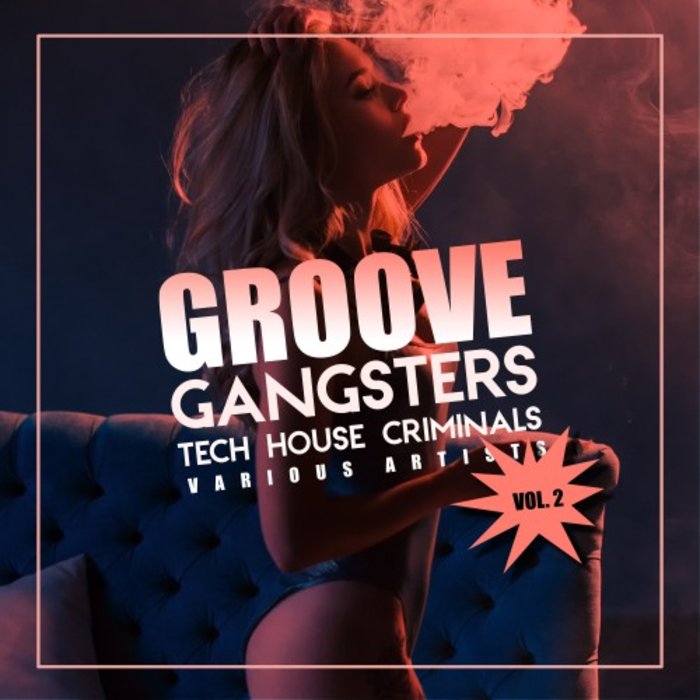 VARIOUS - Groove Gangsters Vol 2 (Tech House Criminals)