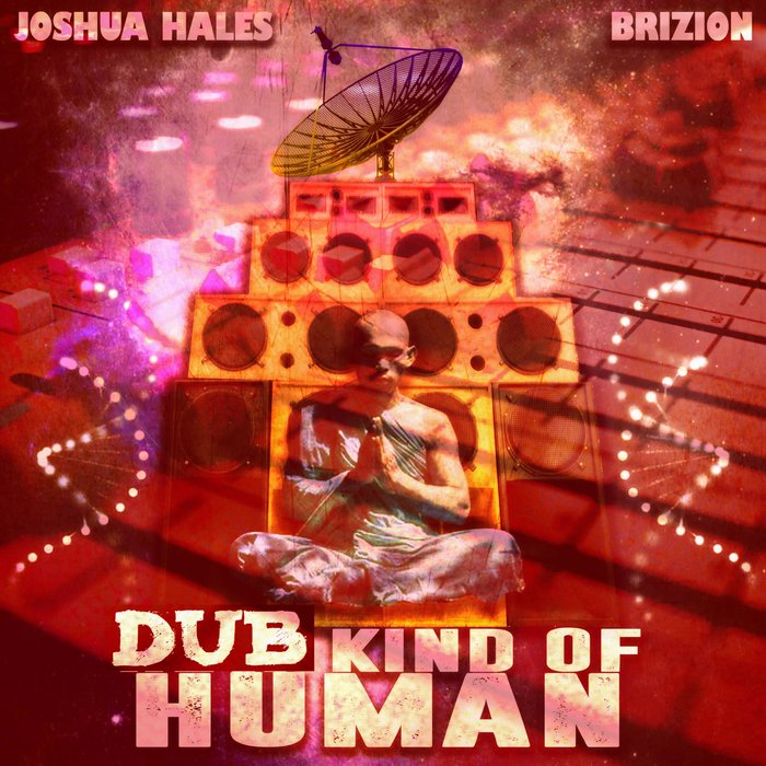 BRIZION feat JOSHUA HALES - DUB Kind Of Human