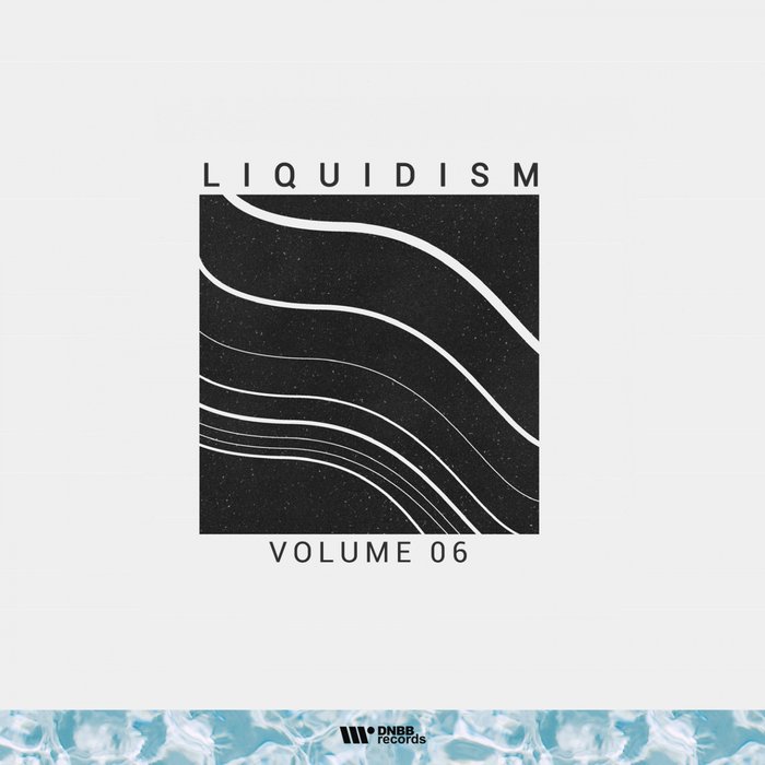 VARIOUS - Liquidism Vol 6