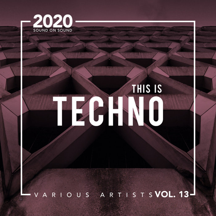 VARIOUS - This Is Techno Vol 13