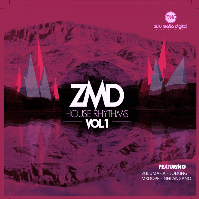 VARIOUS - ZMD House Rhythms Vol 1