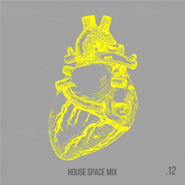 VARIOUS/MARTINO BALDI - House Space Mix Vol 12
