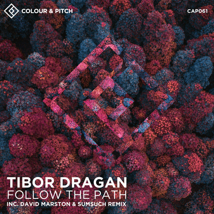 TIBOR DRAGAN - Follow The Path