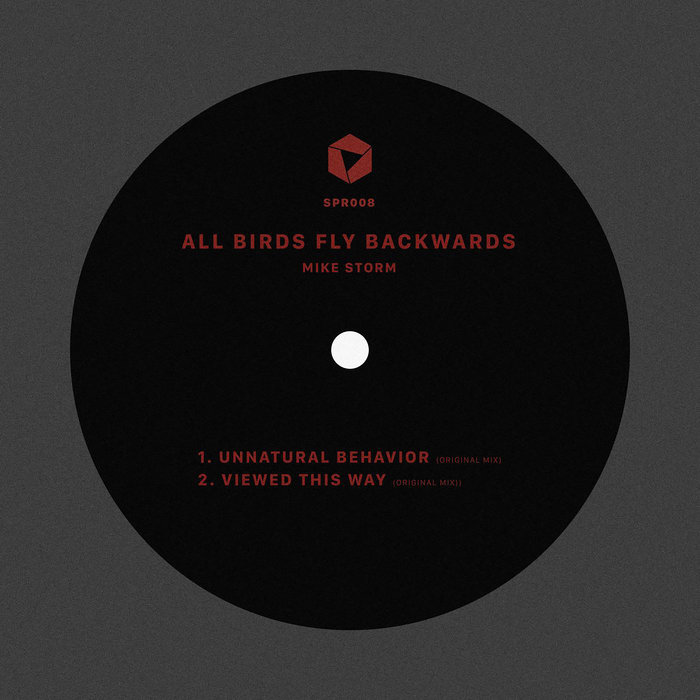 MIKE STORM - All Birds Fly Backwards