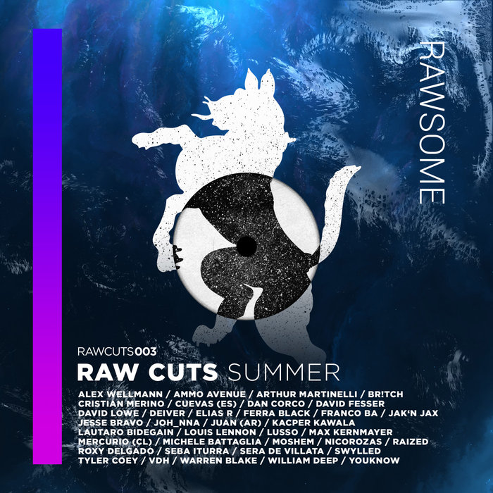 VARIOUS - RAW CUTS SUMMER