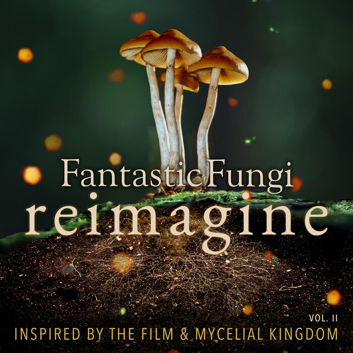 VARIOUS - Fantastic Fungi: Reimagine Vol II (Inspired By The Film & Mycelial Kingdom)