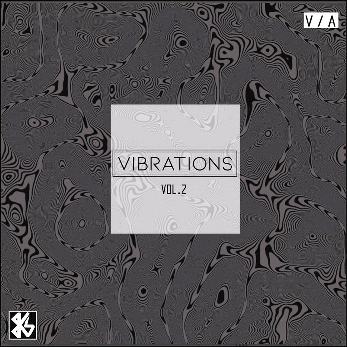 DHYAN DROIK/RAGE/POLARIS/ATLAZIA - Vibrations Vol 2