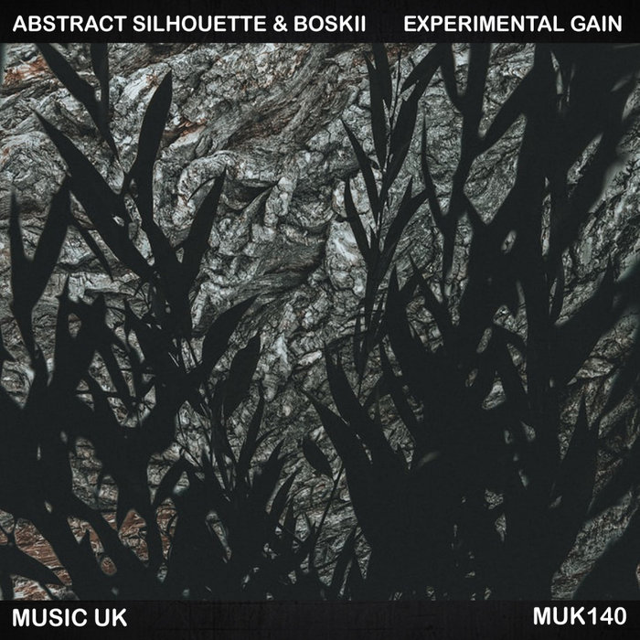 ABSTRACT SILHOUETTE/BOSKII - Experimental Gain