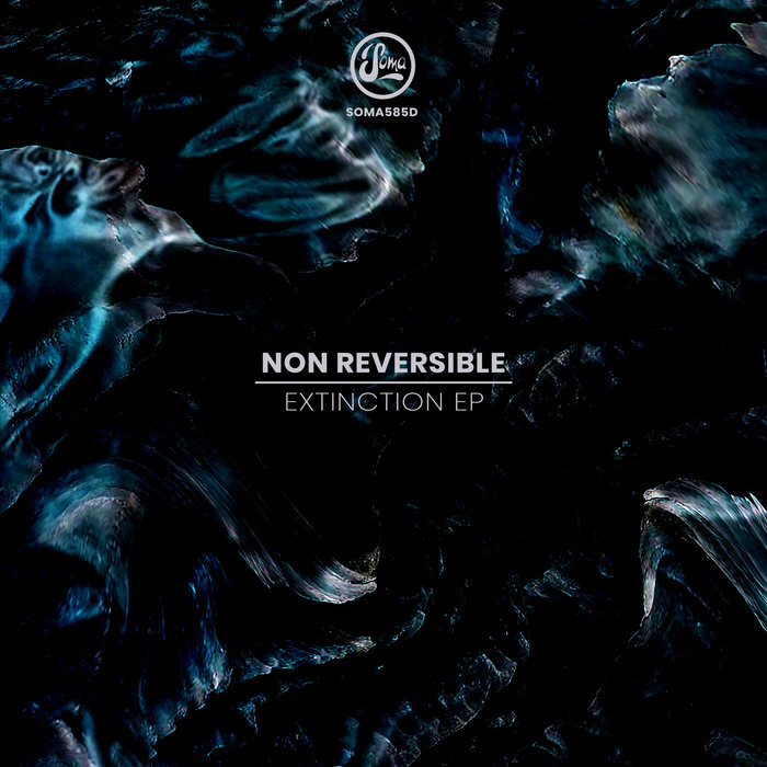 NON REVERSIBLE - Extinction EP