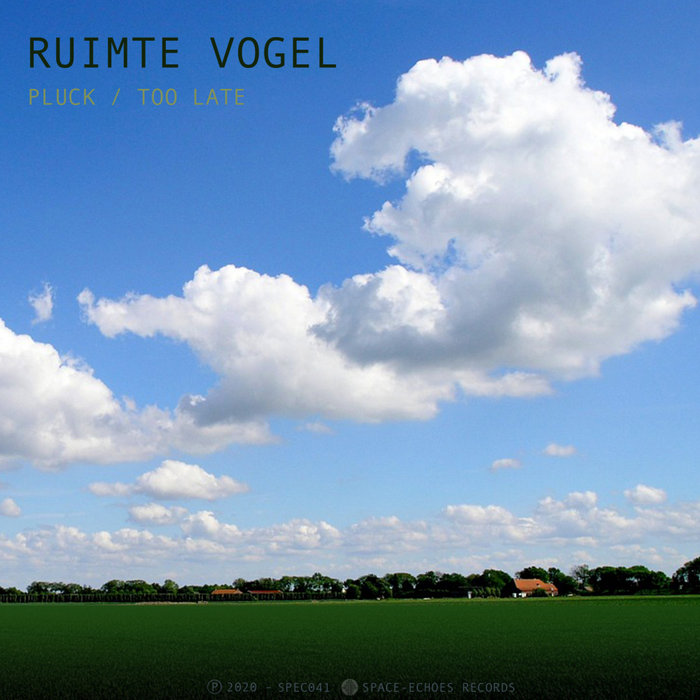RUIMTE VOGEL - Pluck/Too Late
