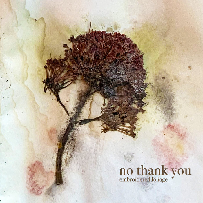 NO THANK YOU - Everything Or Nothing
