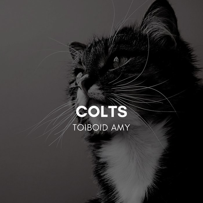 TOIBOID AMY - Colts