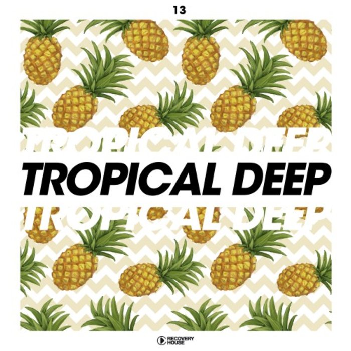 VARIOUS - Tropical Deep Vol 13