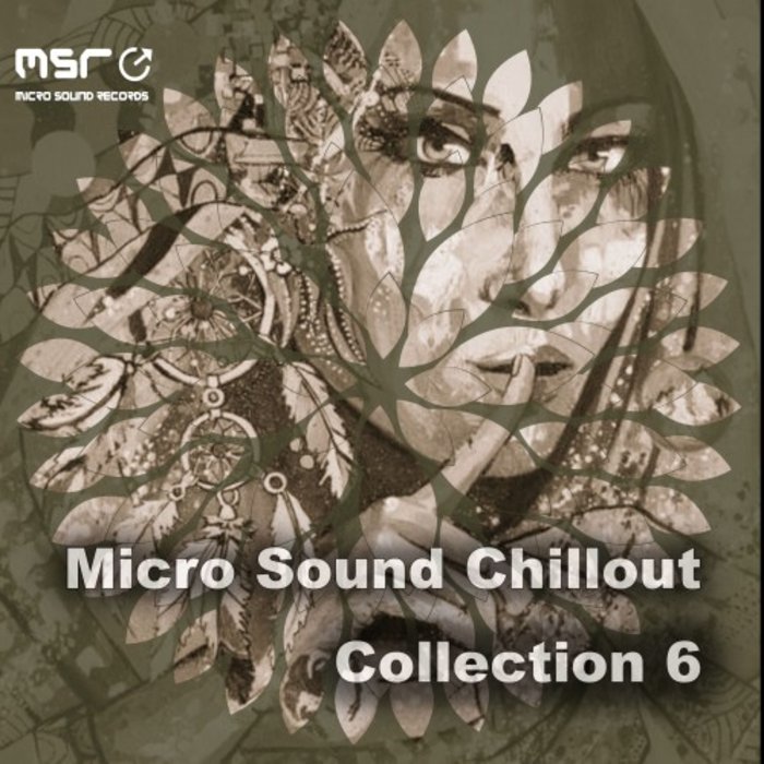 VARIOUS - Micro Sound Chillout Collection 6