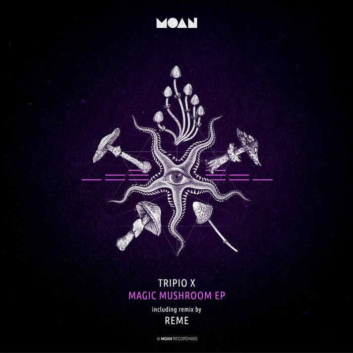 TRIPIO X - Magic Mushroom EP