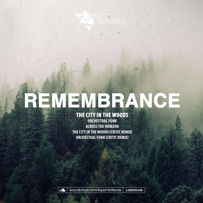 REMEMBRANCE - The City In The Woods