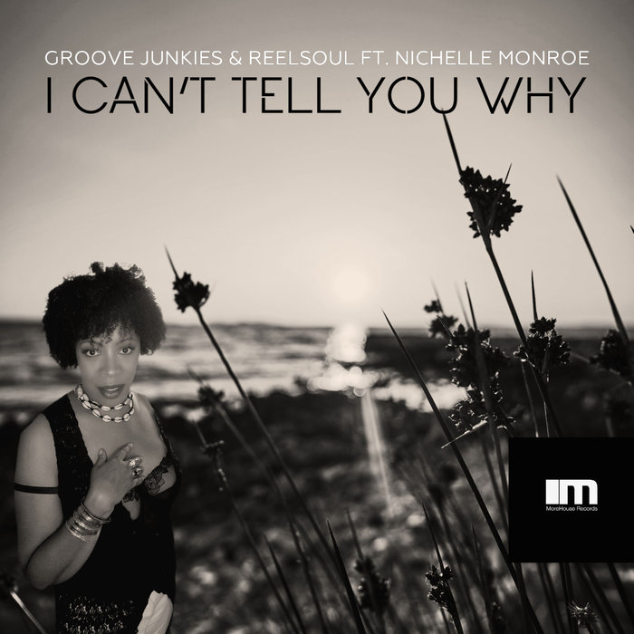 REELSOUL/GROOVE JUNKIES feat NICHELLE MONROE - I Can't Tell You Why (Groove N' Soul Mixes)