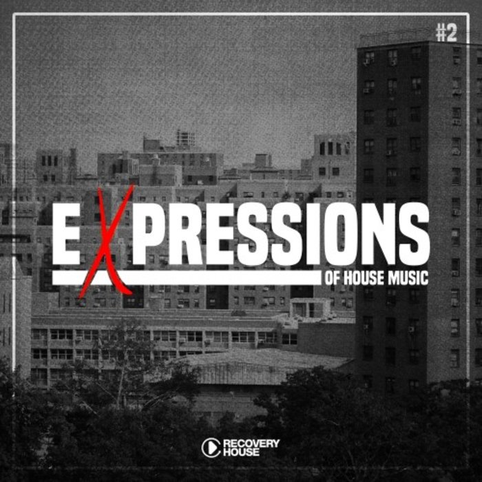 VARIOUS - Expressions Of House Music Vol 2