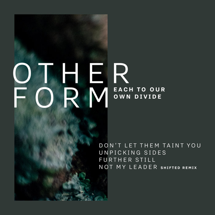 OTHER FORM - Each To Our Own Divide