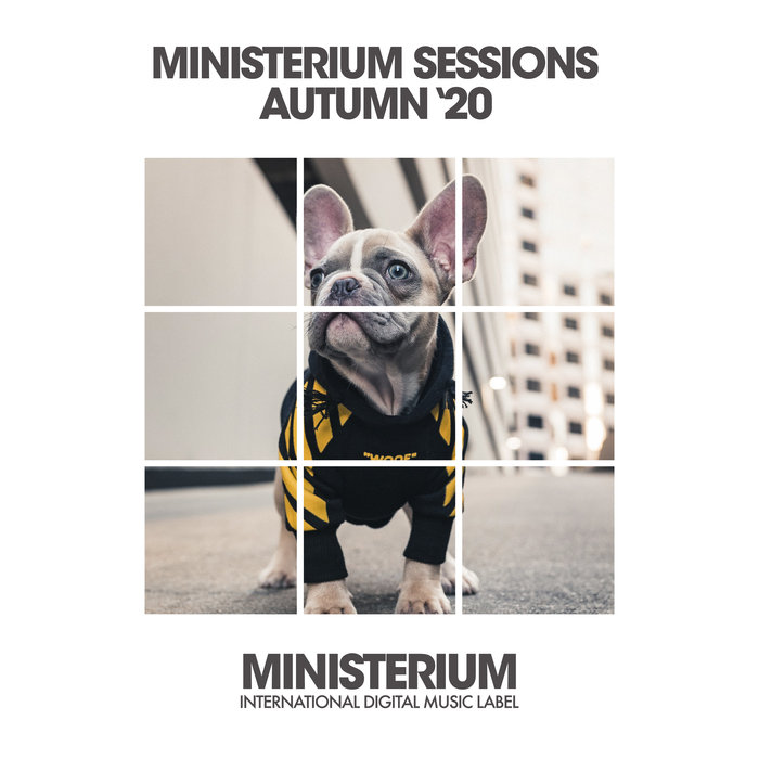 VARIOUS - Ministerium Sessions (Autumn '20)