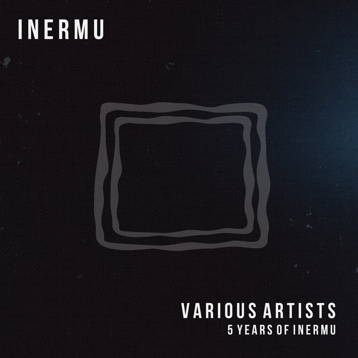 VARIOUS - 5 Years Of Inermu