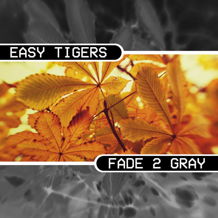 EASY TIGERS - Fade 2 Gray