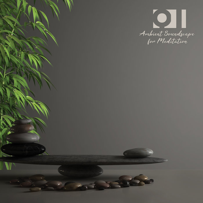 VARIOUS - Qi: Ambient Soundscape For Meditation