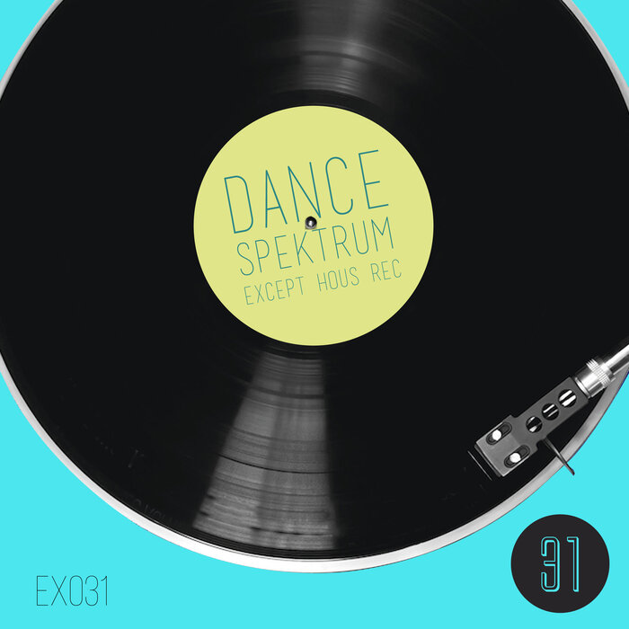 ERECTUS VOID/VARIOUS - Dance Spektrum - 31