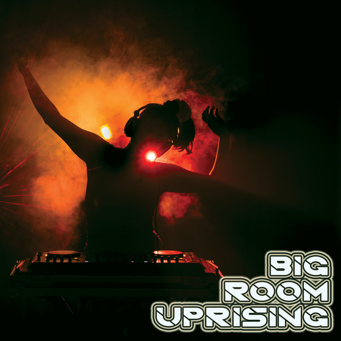 VARIOUS - Big Room Uprising