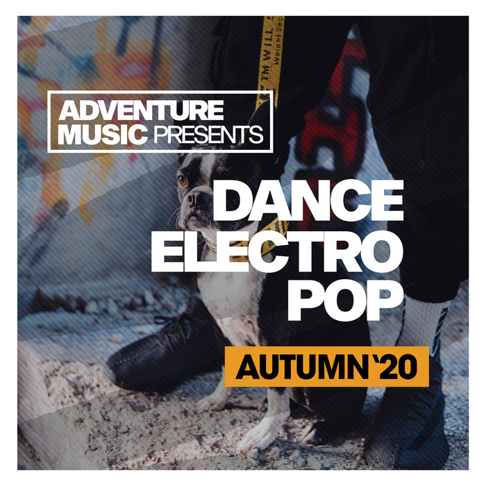 DIGITAL BOTS/VARIOUS - Dance Electro Pop (Autumn '20)