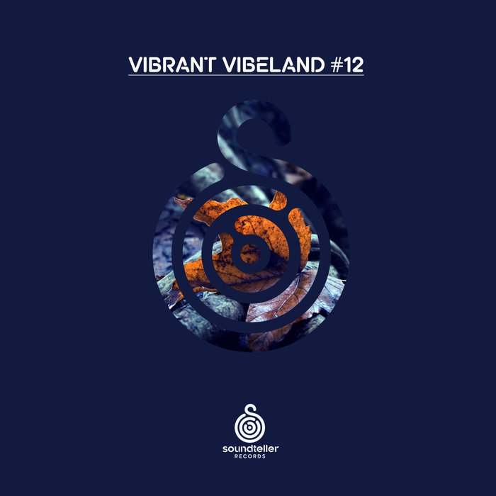 VARIOUS - Vibrant Vibeland #12