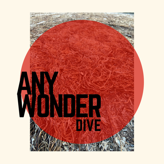 ANY WONDER - Dive