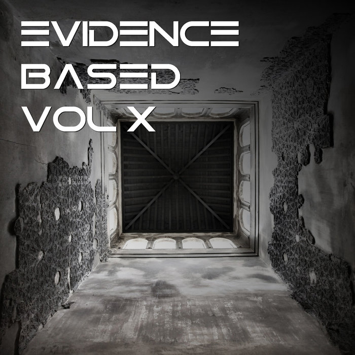 VARIOUS - Evidence Based Vol 10
