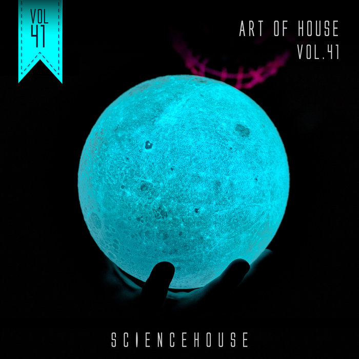 PABLO FERRERO/VARIOUS - Art Of House Vol 41