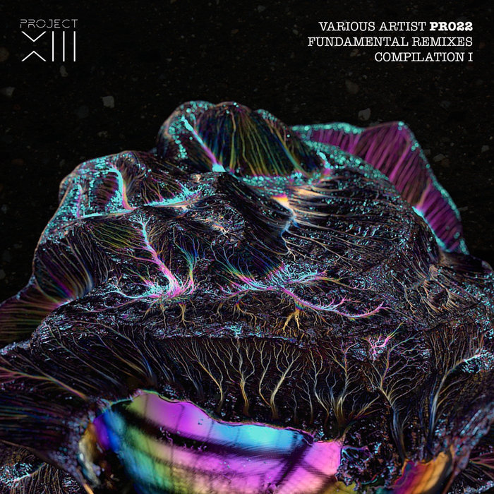 VARIOUS - Fundamental Remixes Compilation I
