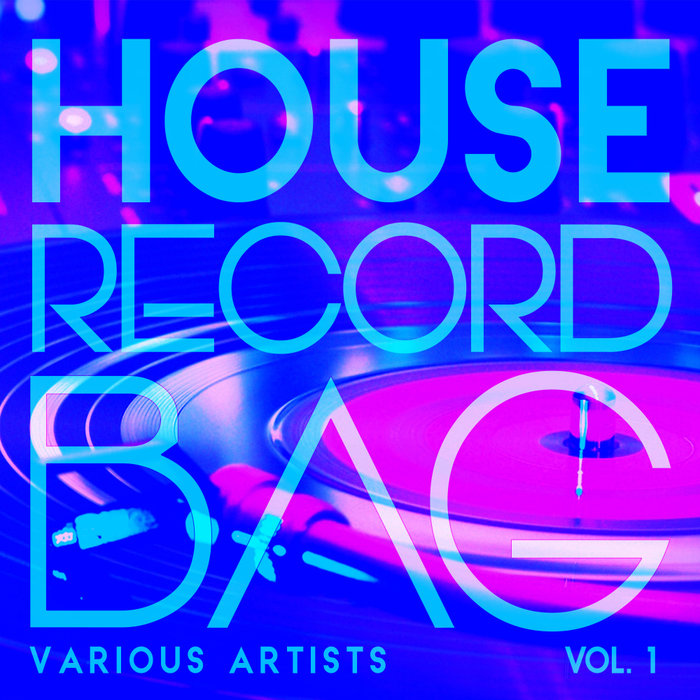 VARIOUS - House Record Bag Vol 1