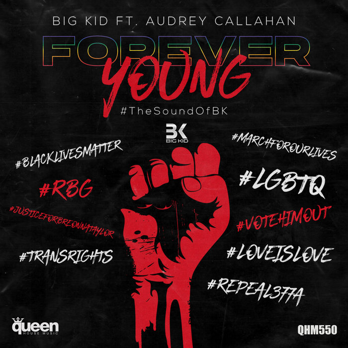 BIG KID feat AUDREY CALLAHAN - Forever Young
