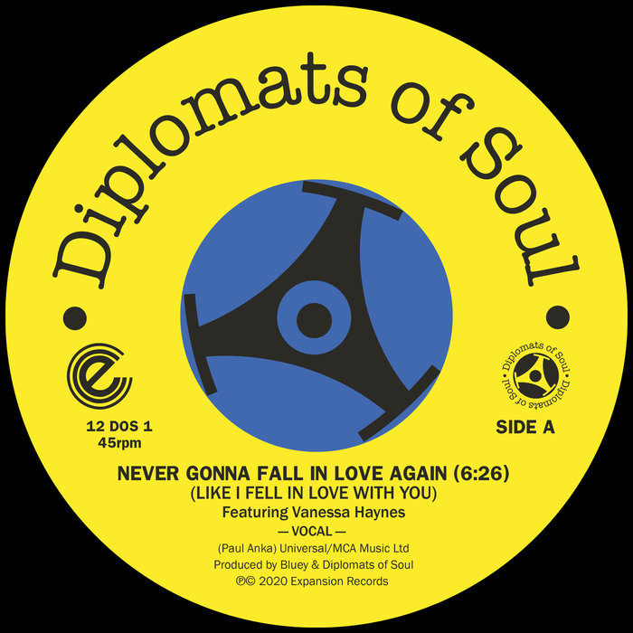 DIPLOMATS OF SOUL feat VANESSA HAYNES - Never Gonna Fall In Love Again (Like I Fell In Love With You) (Digital)